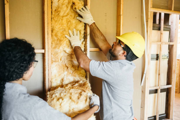 Best Attic Insulation Installation  in Prichard, AL